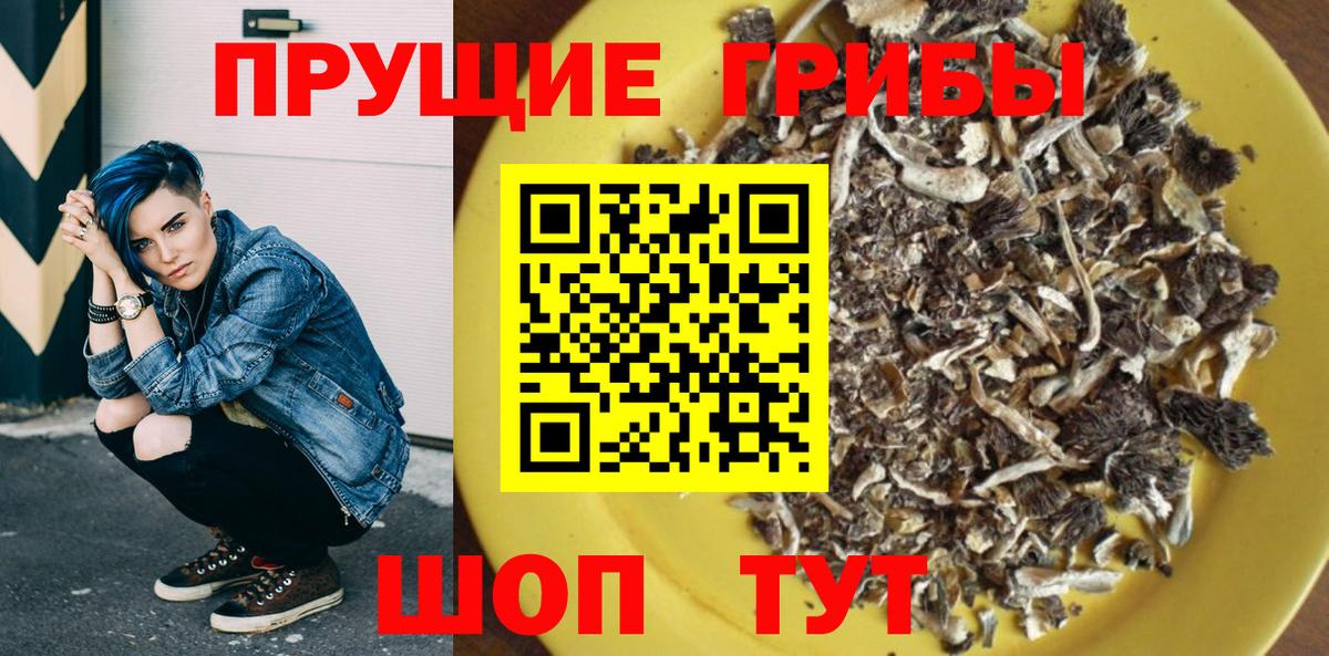Галлюциногенные грибы Psilocybe Богданович